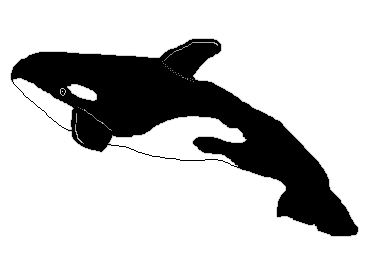 Free Whale Clipart