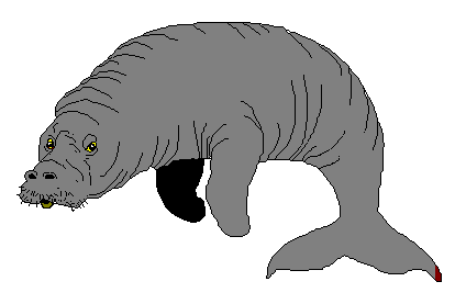 Free Manatee Clipart