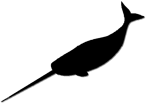 Free Narwhal Clipart