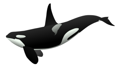 Free Orca Clipart