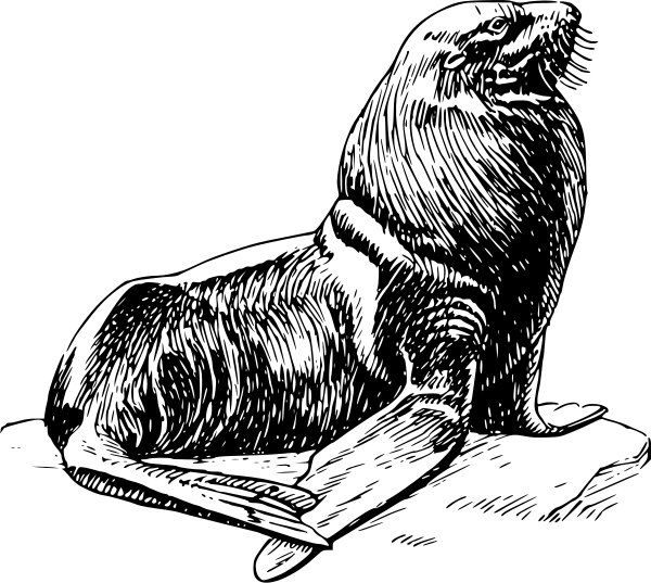 Free Seal Clipart