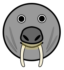 Free Walrus Icon Clipart