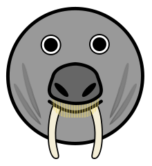 Free Walrus Clipart