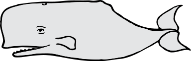 Free Sperm Whale Clipart