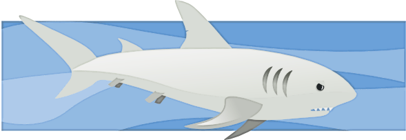 Free Shark Clipart