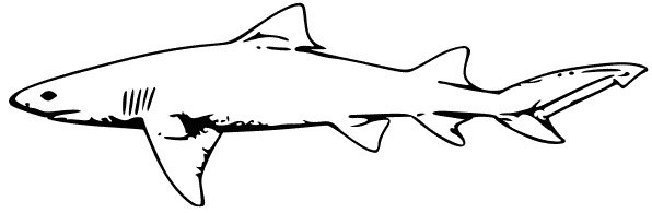 Free Black and White Shark Clipart