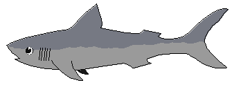 Free Shark Clipart