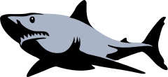 Free Shark Clipart