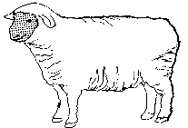 Free Black and White Sheep Clipart