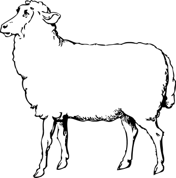 Free Sheep Clipart