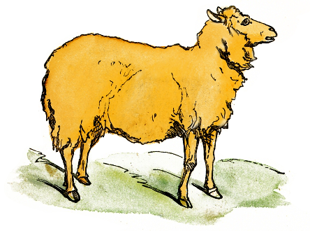 Free Sheep Clipart