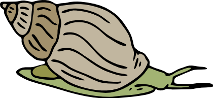 Free Snail Clipart