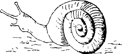 Free Black and White Snail Clipart