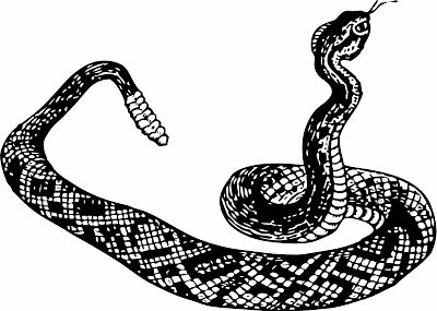 Free Black and White Snake Clipart