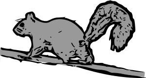 Free Baby Squirrel Clipart