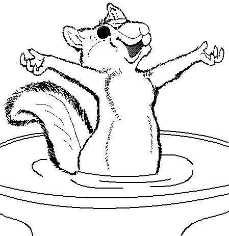 Free Squirrel Coloring Pages Clipart