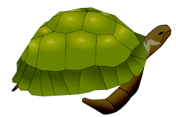 Free Turtle Clipart