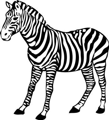 Free Zebra Clipart