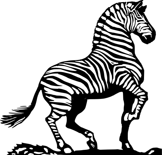 Free Black and White Zebra Clipart