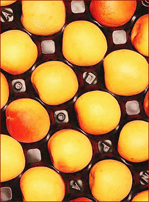 Free Apricot Clipart