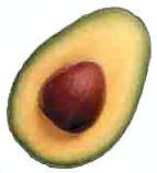 Free Avocado Clipart