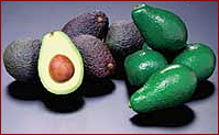 Free Avocado Clipart