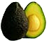 Free Avocado Clipart