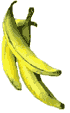 Free Banana Clipart