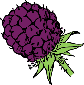 Free Berry Clipart