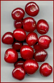 Free Cherry Clipart