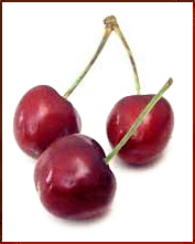 Free Cherry Clipart