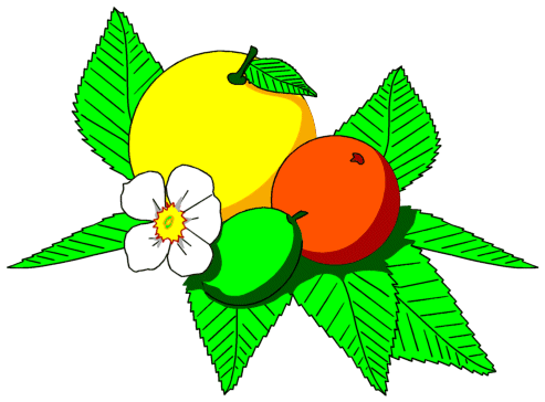 Free Fruit Clipart