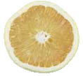 Free Grapefruit Clipart