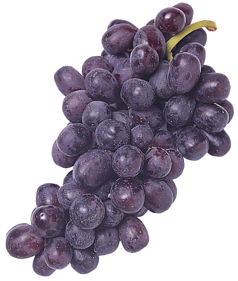 Free Grape Clipart