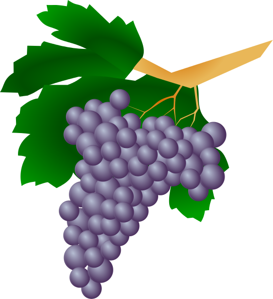 Free Grape Clipart