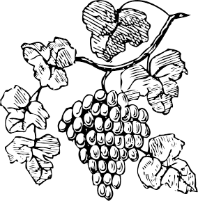 Free Grape Clipart