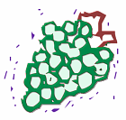 Free Grape Clipart