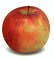 Free Apple Clipart