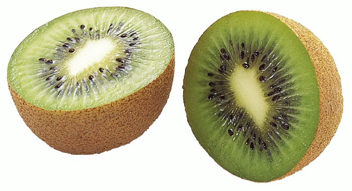 Free Kiwi Fruit Clipart