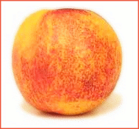 Free Nectarine Clipart