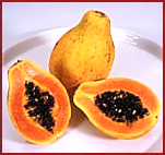 Free Papaya Clipart