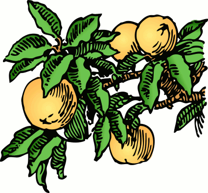 Free Fruit Clipart