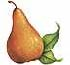 Free Pear Clipart