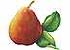 Free Pear Clipart