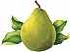 Free Pear Clipart