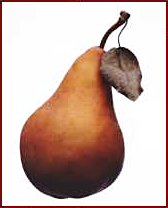 Free Pear Clipart