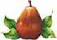 Free Pear Clipart