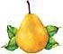 Free Pear Clipart