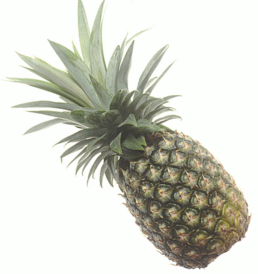 Free Pineapple Clipart