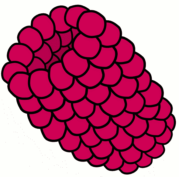 Free Berry Clipart